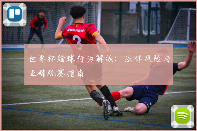 世界杯赌球行为解读:法律风险与正确观赛指南
