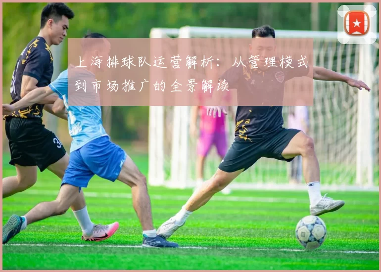 上海排球队运营解析:从管理模式到市场推广的全景解读