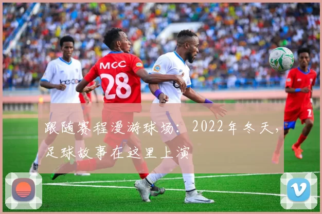 跟随赛程漫游球场:2022年冬天,足球故事在这里上演