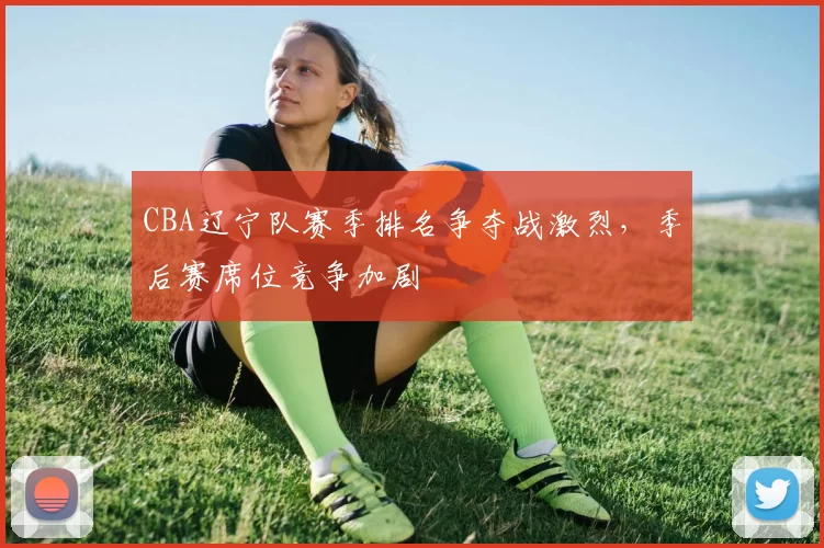 CBA辽宁队赛季排名争夺战激烈,季后赛席位竞争加剧