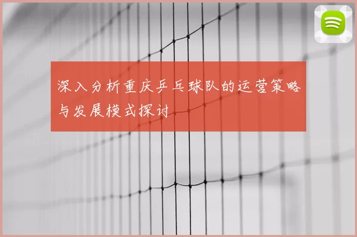 深入分析重庆乒乓球队的运营策略与发展模式探讨