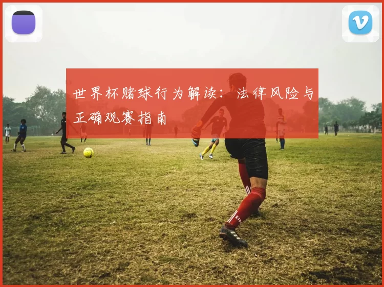 世界杯赌球行为解读:法律风险与正确观赛指南