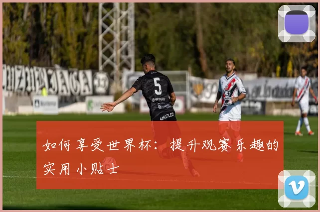 如何享受世界杯：提升观赛乐趣的实用小贴士