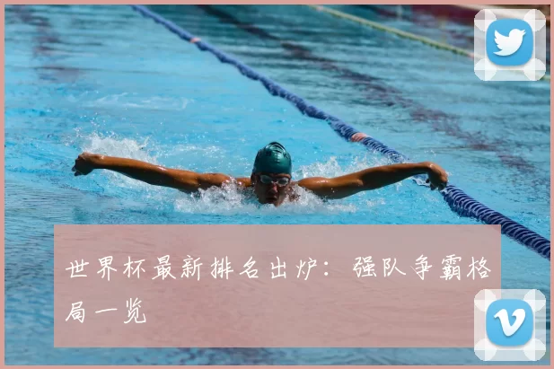 世界杯最新排名出炉：强队争霸格局一览