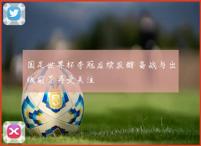 国足世界杯夺冠后续发酵 备战与出线前景再受关注