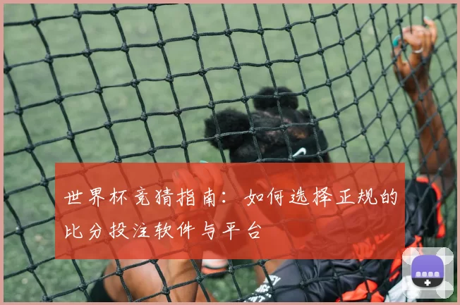 世界杯竞猜指南：如何选择正规的比分投注软件与平台