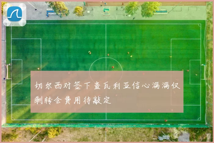 切尔西对签下查瓦利亚信心满满仅剩转会费用待敲定